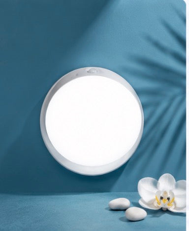 Rotating Motion Sensor Night Light